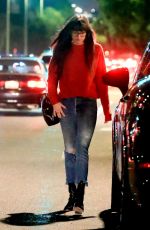 DAKOTA JOHNSON Leaves Meche Salon in Beverly Hills 11/21/2019