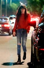 DAKOTA JOHNSON Leaves Meche Salon in Beverly Hills 11/21/2019