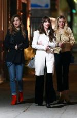 DAKOTA JOHNSON Night Out in Los Feliz 11/23/2019
