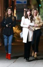 DAKOTA JOHNSON Night Out in Los Feliz 11/23/2019