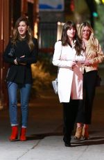 DAKOTA JOHNSON Night Out in Los Feliz 11/23/2019