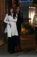 DAKOTA JOHNSON Night Out in Los Feliz 11/23/2019