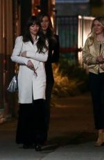 DAKOTA JOHNSON Night Out in Los Feliz 11/23/2019