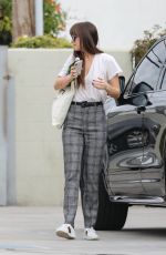 DAKOTA JOHNSON Out and About in Santa Monica 11/19/2019