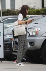 DAKOTA JOHNSON Out and About in Santa Monica 11/19/2019