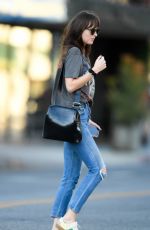 DAKOTA JOHNSON Out in Larchmont Village in Los Angeles 11/06/2019