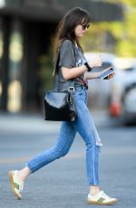 DAKOTA JOHNSON Out in Larchmont Village in Los Angeles 11/06/2019