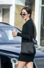 DELILAH HAMLIN Out and About in West Hollywood 11/15/2019