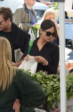 EIZA GONZALEZ and Luke Bracey Out Shopping in Los Angeles 11/24/2019