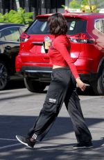 EIZA GONZALEZ Out for Lunch in Los Angeles 11/22/2019