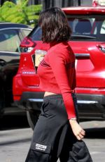 EIZA GONZALEZ Out for Lunch in Los Angeles 11/22/2019
