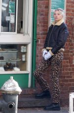 ELSA HOSK Out in New York 11/13/2019