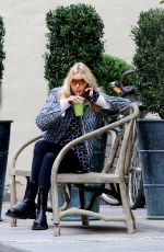 ELSA HOSK Out in New York 11/14/2019
