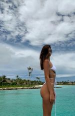 EMILY RATAJKOWSKI in Bikini - Instagram Photos and Video 11/24/2019