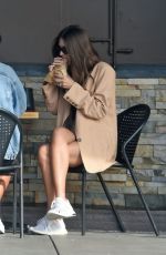 EMILY RATAJKOWSKI Out for Lunch in Los Angeles 11/13/2019