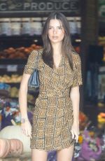 EMILY RATAJKOWSKI Out Shopping in Los Angeles 11/11/2019