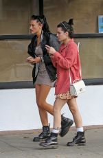 HALSEY Out Shopping in Studio City 10/29/2019
