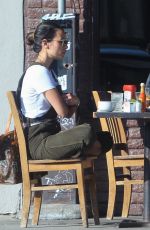 JORDANA BREWSTER Out for Lunch in Hollywood 11/06/2019