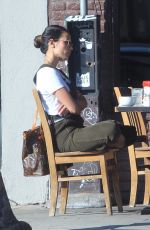 JORDANA BREWSTER Out for Lunch in Hollywood 11/06/2019