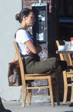 JORDANA BREWSTER Out for Lunch in Hollywood 11/06/2019
