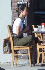 JORDANA BREWSTER Out for Lunch in Hollywood 11/06/2019