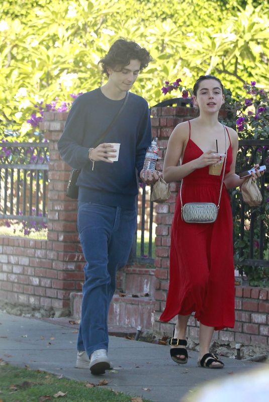 KIERNAN SHIPKA and Timothee Chalamet Out for Coffee in Los Angeles 11/04/2019