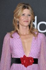 LAURA DERN at Hollywood Film Awards in Beverly Hills 11/03/2019