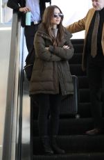 LILY COLLINS at LAX Airport in Los Angeles 11/21/2019