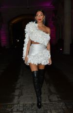 NICOLE SCHERZINGER Arrives at Her Hotel in London 11/09/2019