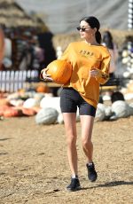 NICOLE WILLIAMS at Mr Bones Pumpkin Patch in Los Angeles 11/01/2019