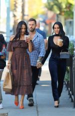 NIKKI and BRIE BELLA Out for Lunch in Los Angeles 11/11/2019