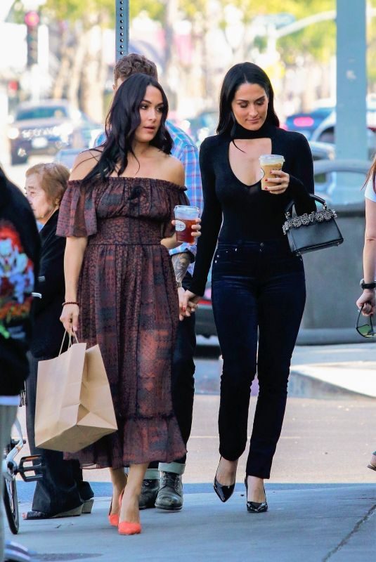 NIKKI and BRIE BELLA Out for Lunch in Los Angeles 11/11/2019