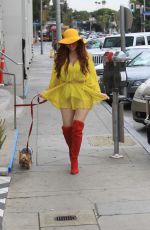 PHOEBE PRICE Cleans Up After Her Dog in Hollywood 11/19/2019