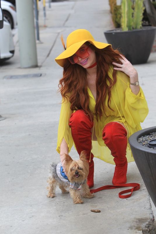 PHOEBE PRICE Cleans Up After Her Dog in Hollywood 11/19/2019