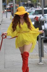PHOEBE PRICE Cleans Up After Her Dog in Hollywood 11/19/2019