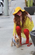 PHOEBE PRICE Cleans Up After Her Dog in Hollywood 11/19/2019
