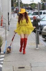 PHOEBE PRICE Cleans Up After Her Dog in Hollywood 11/19/2019