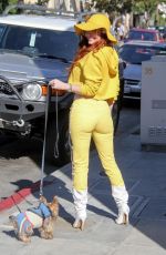 PHOEBE PRICE Out with Her Dog in Los Angeles 11/22/2019