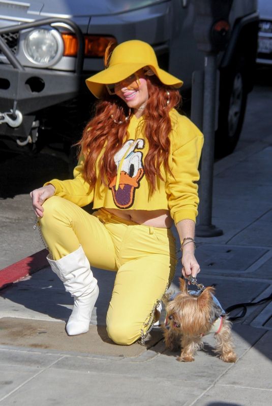 PHOEBE PRICE Out with Her Dog in Los Angeles 11/22/2019