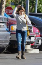 RACHAEL LEIGH COOK Out Shopping in Studio City 11/23/2019