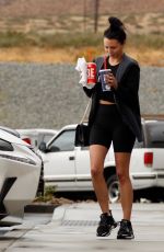 SCHEANA SHAY Out for Lunch in Palm Springs 11/20/2019
