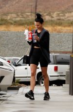 SCHEANA SHAY Out for Lunch in Palm Springs 11/20/2019