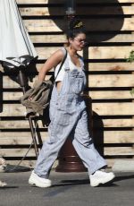 VANESSA HUDGENS Out and About in Los Feliz 11/18/2019