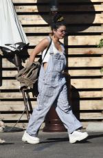 VANESSA HUDGENS Out and About in Los Feliz 11/18/2019