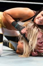 WWE Live European Tour - Brighton, Minehead, England and Dublin