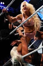 WWE Live European Tour - Brighton, Minehead, England and Dublin