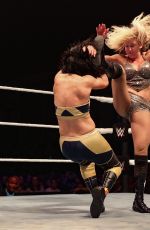 WWE Live European Tour - Brighton, Minehead, England and Dublin