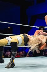 WWE Live European Tour - Brighton, Minehead, England and Dublin
