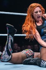 WWE Live in UK and Netherlands