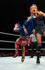 WWE Live in UK and Netherlands